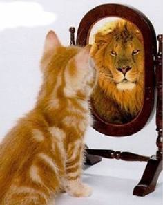 Katze sieht Löwe im Spiegel. Katze sieht ihr ihr Potenzial